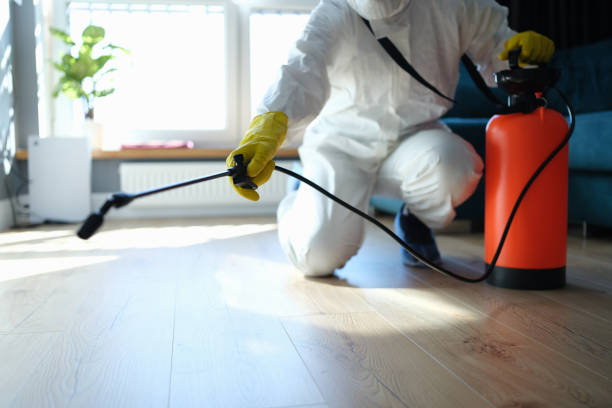 Trusted Odor Removal service in Graham, TX - Four Month Blood Cleanse